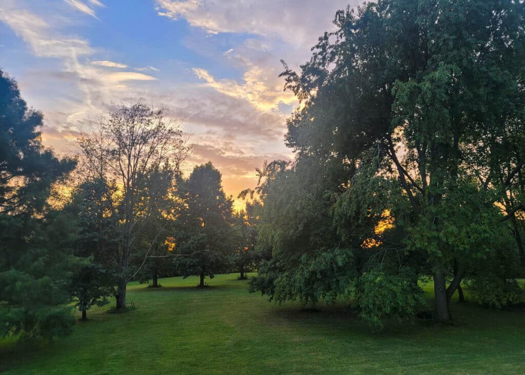The Little Things Newsletter #381 – Life, laughter, and lots of great food!